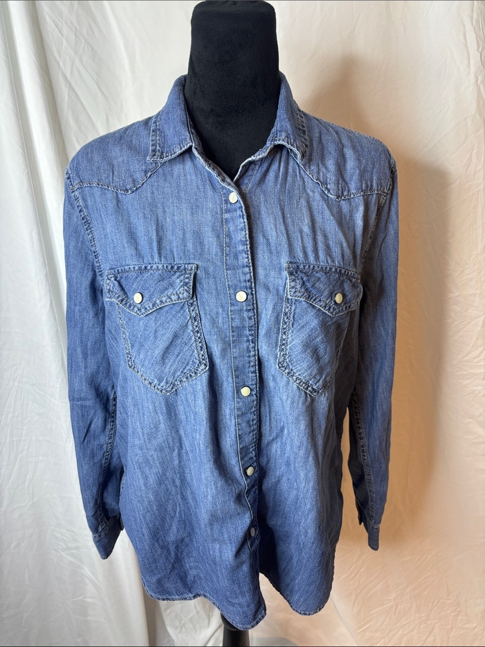 GAP Button-Down Denim Shirt in Blue